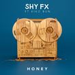 Shy FX Featuring Kiko Bun - Honey