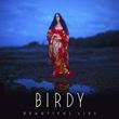 Birdy - Beautiful Lies 