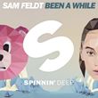 Sam Feldt - Hungry Eyes