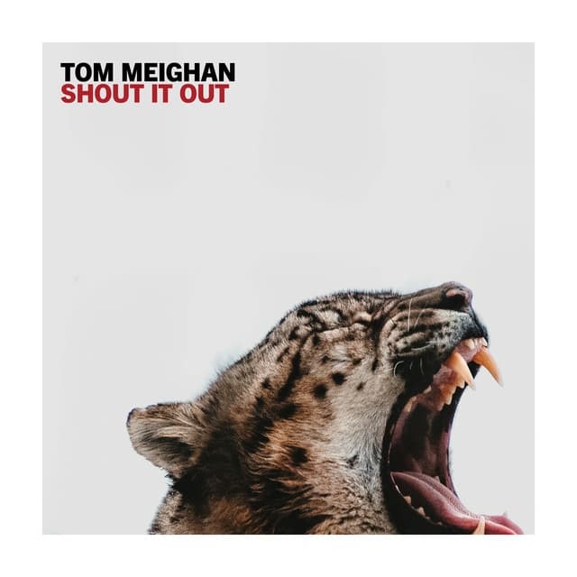 Shout It Out (single)